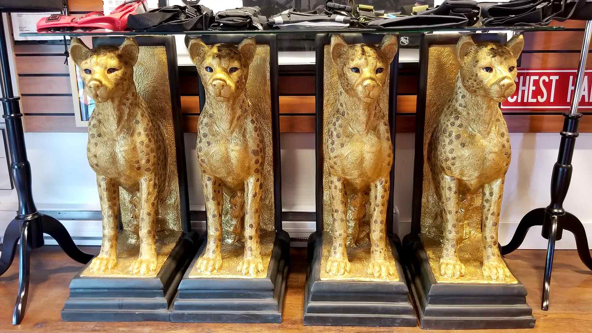 Cheetahs